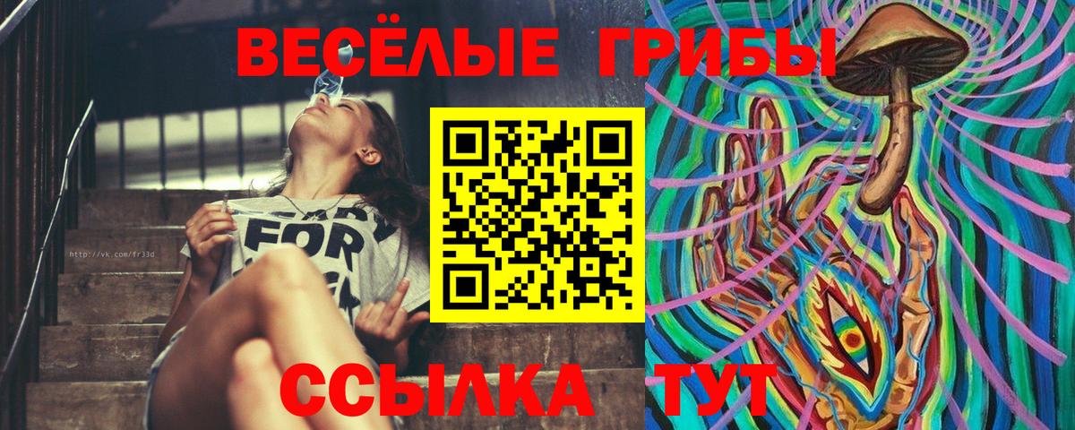 Галлюциногенные грибы мицелий Чехов